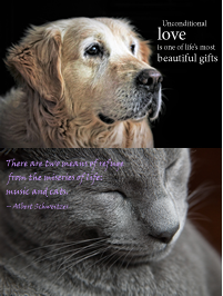 Inspired by Pets Download